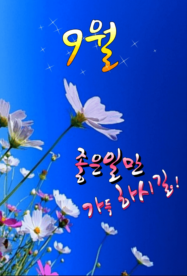 피드 이미지