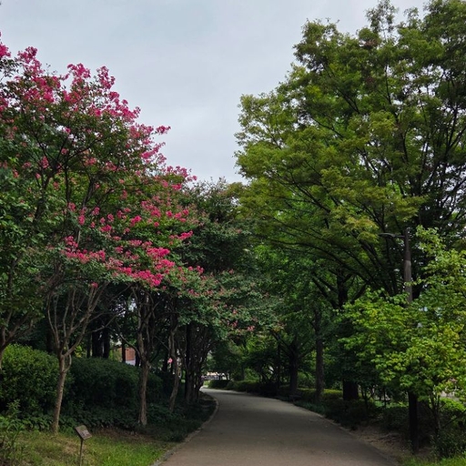 피드 이미지