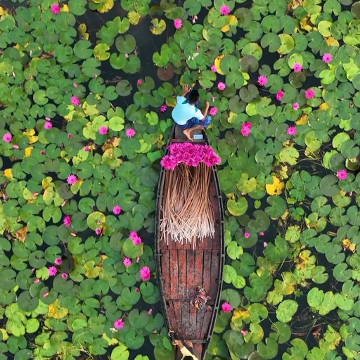 ํผ๋ ์ด๋ฏธ์ง