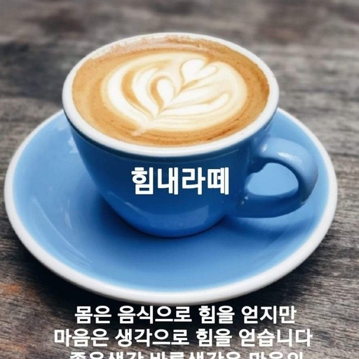 피드 이미지