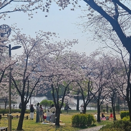 피드에 업로드 된 이미지