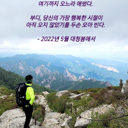 피드 이미지