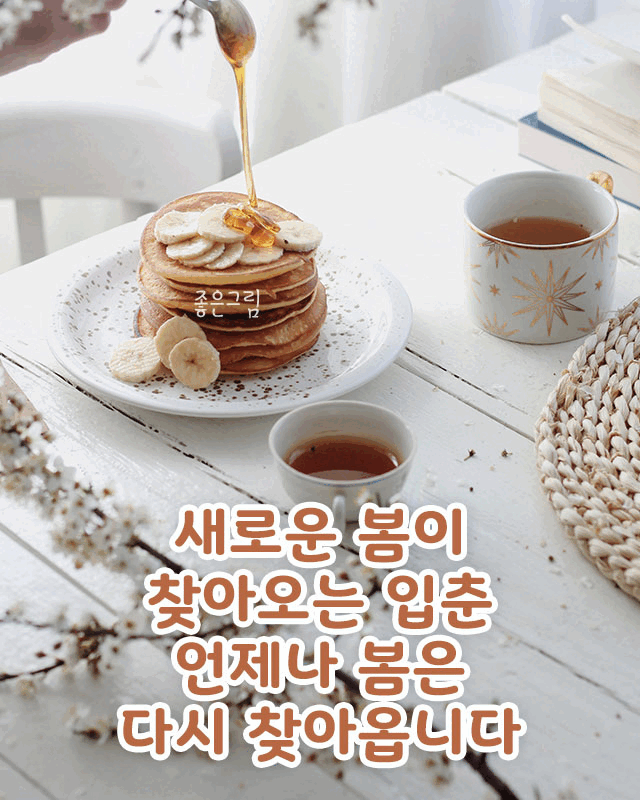 피드에 업로드 된 이미지