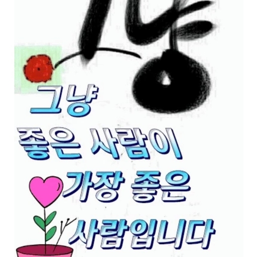 피드 이미지