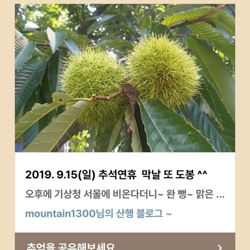 피드 이미지