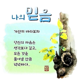 피드에 업로드 된 이미지