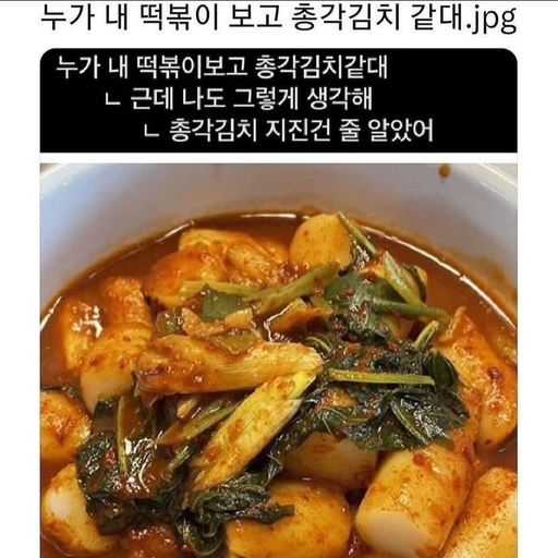 피드 이미지