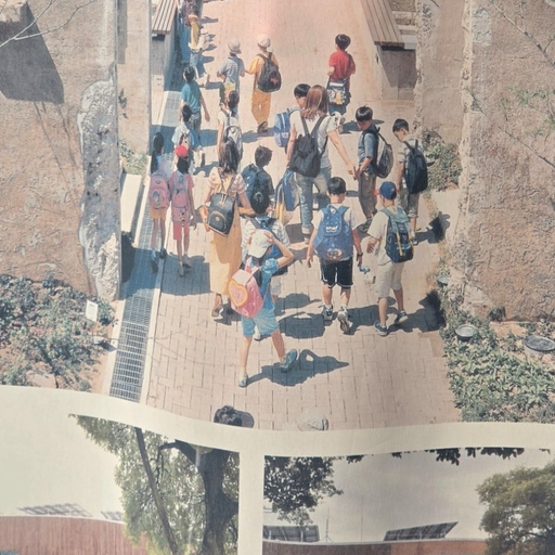 피드 이미지