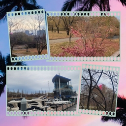 피드에 업로드 된 이미지