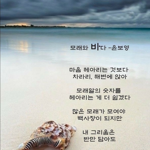 피드 이미지