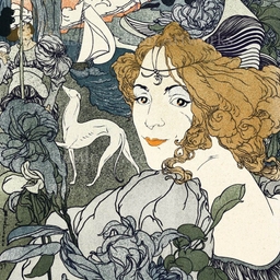 피드에 업로드 된 이미지