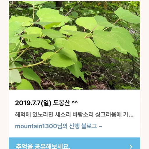 피드 이미지