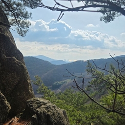 피드에 업로드 된 이미지