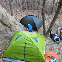 피드에 업로드 된 이미지