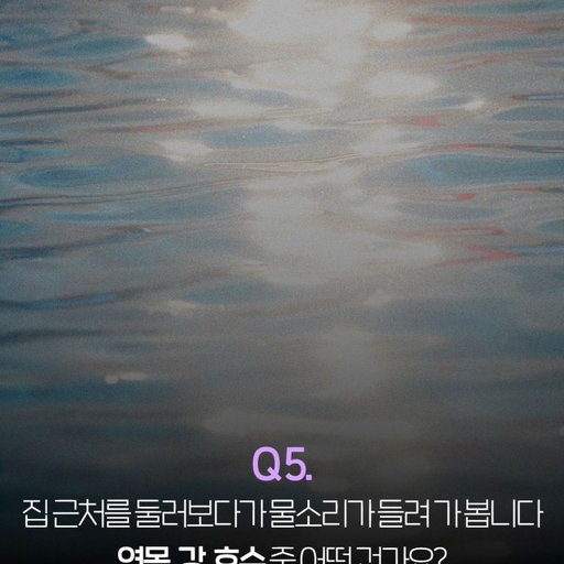 피드 이미지