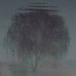 피드에 업로드 된 이미지