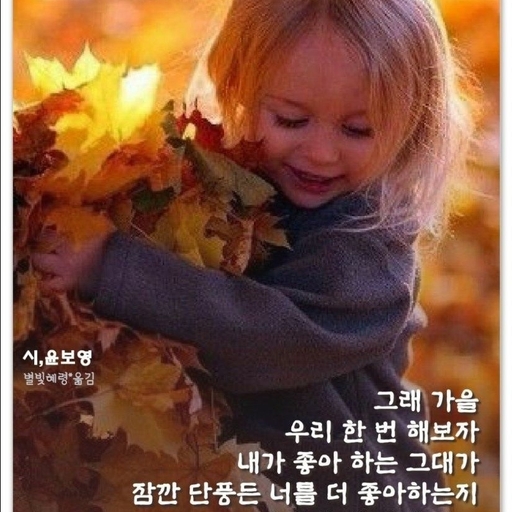 피드 이미지
