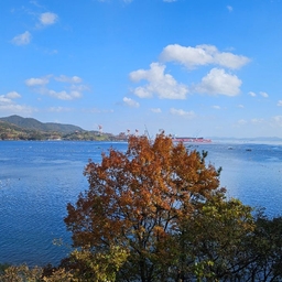 피드에 업로드 된 이미지