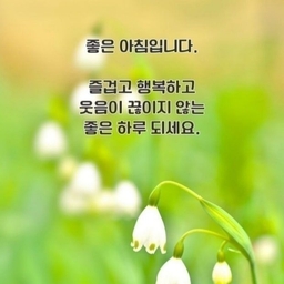 피드에 업로드 된 이미지