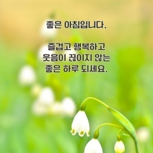 피드 이미지