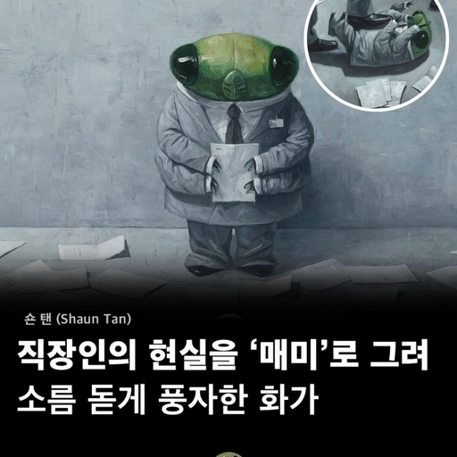 피드 이미지