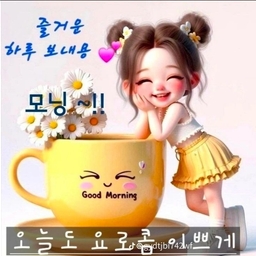 피드에 업로드 된 이미지