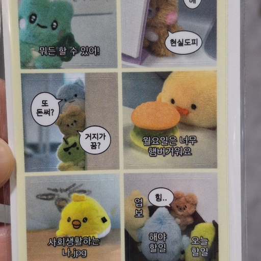 피드 이미지