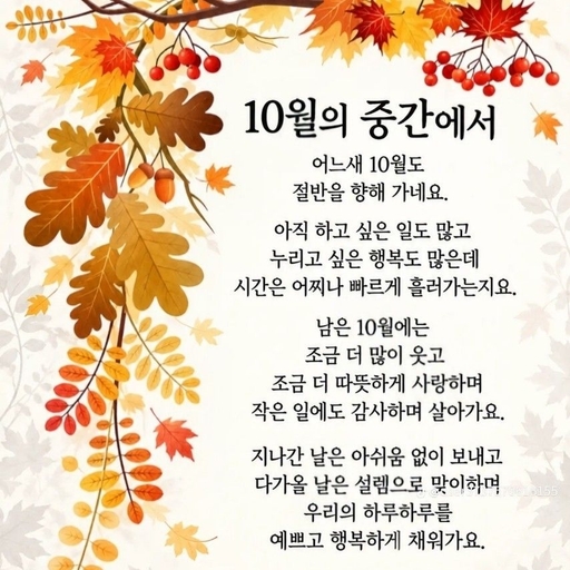 피드 이미지