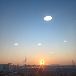 피드에 업로드 된 이미지