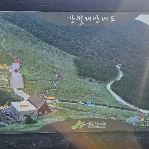 피드 이미지