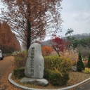 피드 작성자 프로필