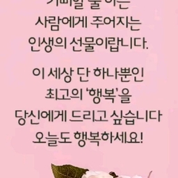 피드에 업로드 된 이미지