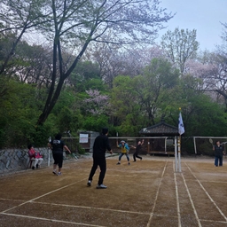 피드에 업로드 된 이미지