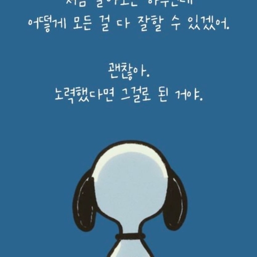 피드 이미지