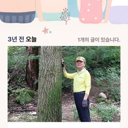 피드에 업로드 된 이미지