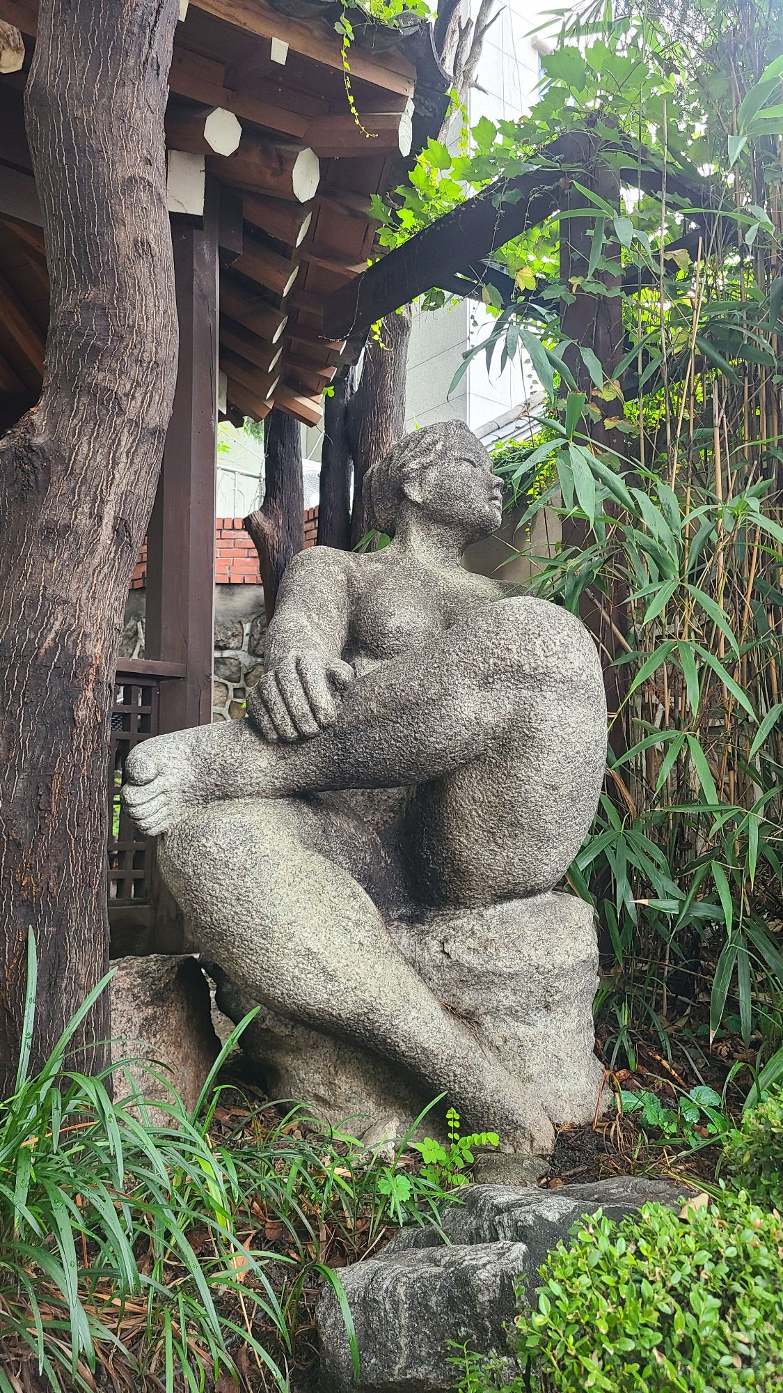 피드 이미지