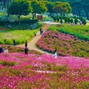 멤버 프로필