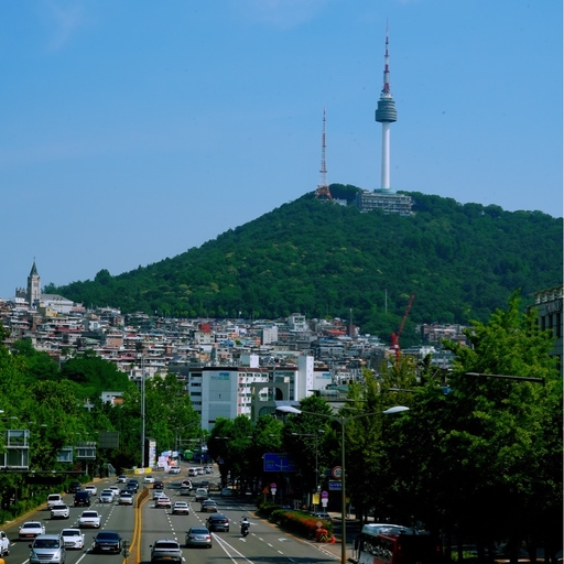 피드 이미지