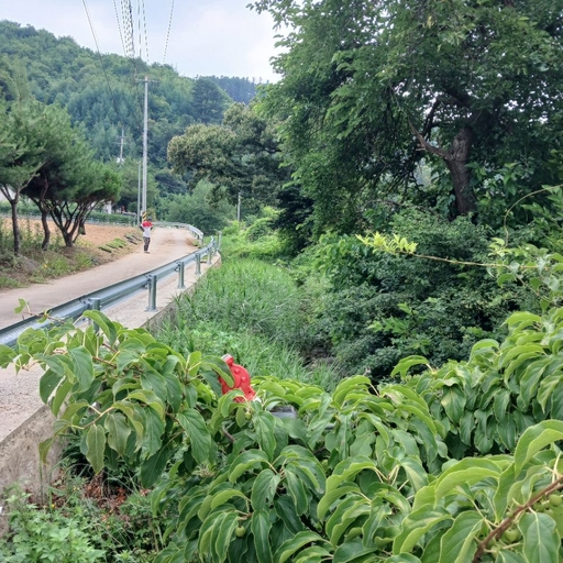 피드 이미지