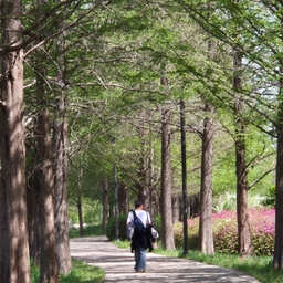 피드에 업로드 된 이미지