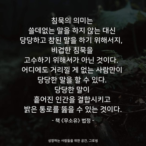 피드 이미지