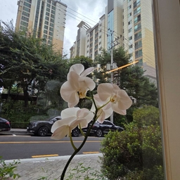피드에 업로드 된 이미지