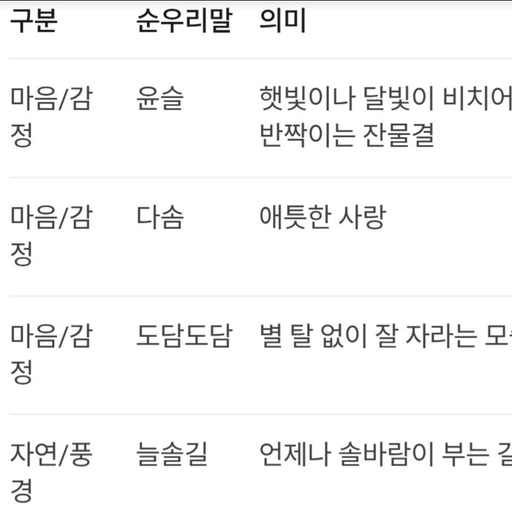 피드 이미지
