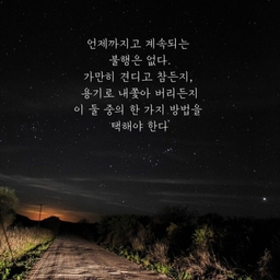 피드에 업로드 된 이미지