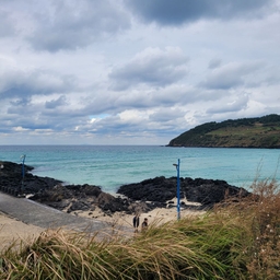 피드에 업로드 된 이미지