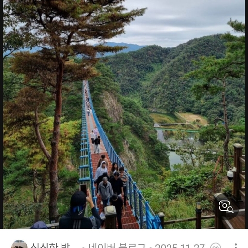 피드 이미지