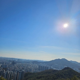 피드에 업로드 된 이미지