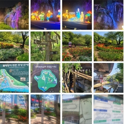 피드에 업로드 된 이미지