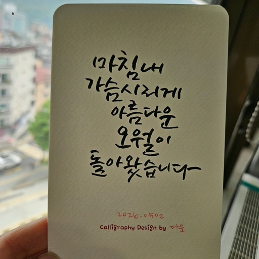 피드 이미지