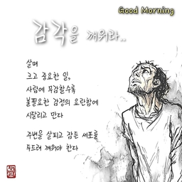 피드에 업로드 된 이미지